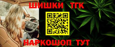 СК Краснознаменск