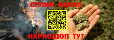 СК Краснознаменск