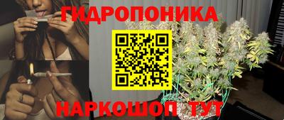 СК Краснознаменск