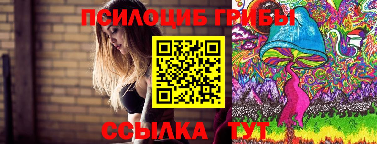 Псилоцибиновые грибы GOLDEN TEACHER Коммунар